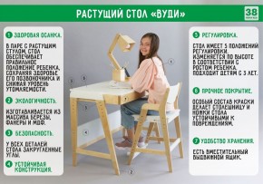 Комплект растущий стол и стул 38 попугаев «Вуди» (Серый, Без покрытия) в Заводоуковске - zavodoukovsk.mebel-74.com | фото