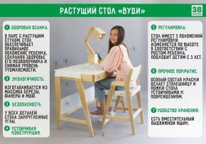 Комплект растущий стол и стул с чехлом 38 попугаев «Вуди» (Белый, Белый, Салют) в Заводоуковске - zavodoukovsk.mebel-74.com | фото