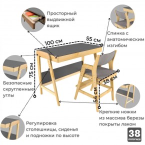 Комплект растущий стол и стул с чехлом 38 попугаев «Вуди» (Серый, Береза, Серый) в Заводоуковске - zavodoukovsk.mebel-74.com | фото