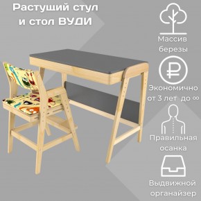 Комплект растущий стол и стул с чехлом 38 попугаев «Вуди» (Серый, Без покрытия, Монстры) в Заводоуковске - zavodoukovsk.mebel-74.com | фото