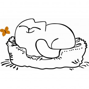 Кровать двухуровневая Кот № 900.1 ПРАВАЯ (туя светлая/белый) в Заводоуковске - zavodoukovsk.mebel-74.com | фото