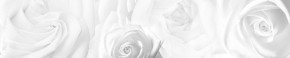 Кухонный фартук Цветы 217 МДФ матовый (3000) Flowers в Заводоуковске - zavodoukovsk.mebel-74.com | фото