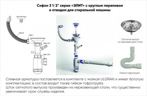 Мойка кухонная ULGRAN U-101 (500) в Заводоуковске - zavodoukovsk.mebel-74.com | фото