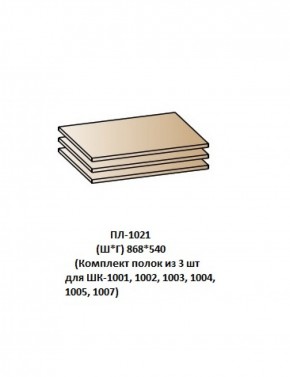 ПЛ-1021 (Комплект полок из 3 шт для ШК-1001, 1002, 1003, 1004, 1005, 1007) в Заводоуковске - zavodoukovsk.mebel-74.com | фото