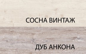 Шкаф 2D1S, MONAKO, цвет Сосна винтаж/дуб анкона в Заводоуковске - zavodoukovsk.mebel-74.com | фото