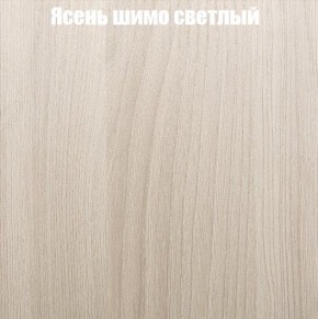 Шкаф-купе «ТАНДЕМ» 2-х дверный в алюминиевом профиле (Дверь К+К) 1200/h2200 в Заводоуковске - zavodoukovsk.mebel-74.com | фото