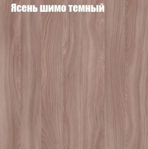 Шкаф-купе «ТАНДЕМ» 2-х дверный в алюминиевом профиле (Дверь Z+Z) 1800/h2200 в Заводоуковске - zavodoukovsk.mebel-74.com | фото