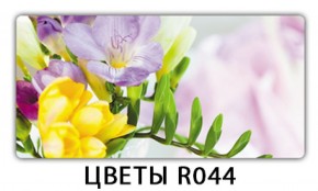 Стол раздвижной Бриз орхидея R041 K-1 в Заводоуковске - zavodoukovsk.mebel-74.com | фото